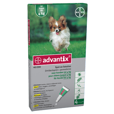 Sloppenwijk genetisch Alarmerend Advantix 40(4 pipet)-voor honden tot 4kilo -vlooienmiddel - Animal King |  Animal King