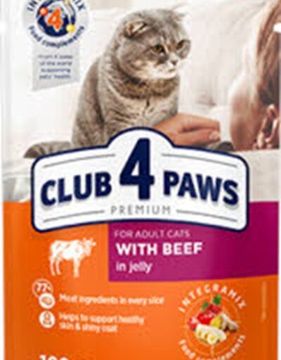 club 4 paws rund in gelei